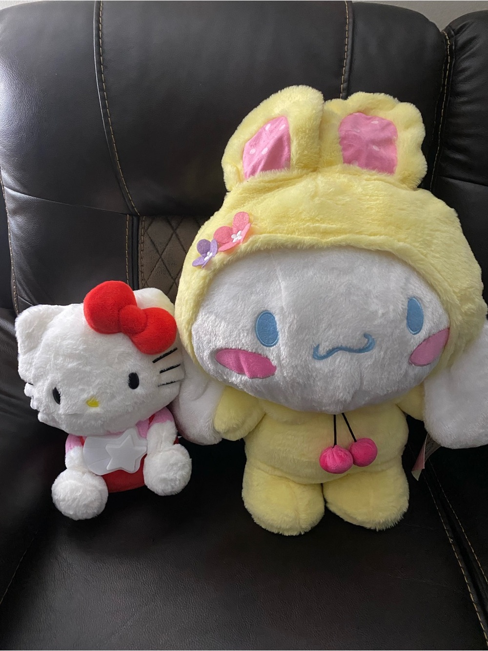 Sanrio Hello Kitty & Cinnamoroll Plush Duo - Yellow, White, Red, Pink, Blue